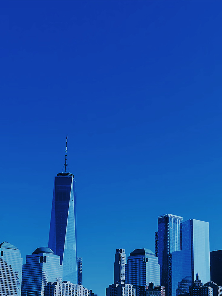 中國誠通國際貿易有限公司簡介